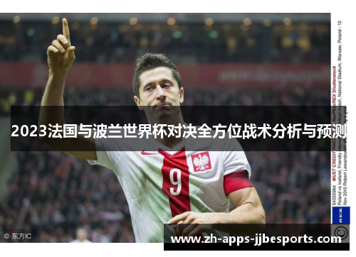 2023法国与波兰世界杯对决全方位战术分析与预测