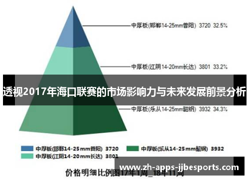 透视2017年海口联赛的市场影响力与未来发展前景分析